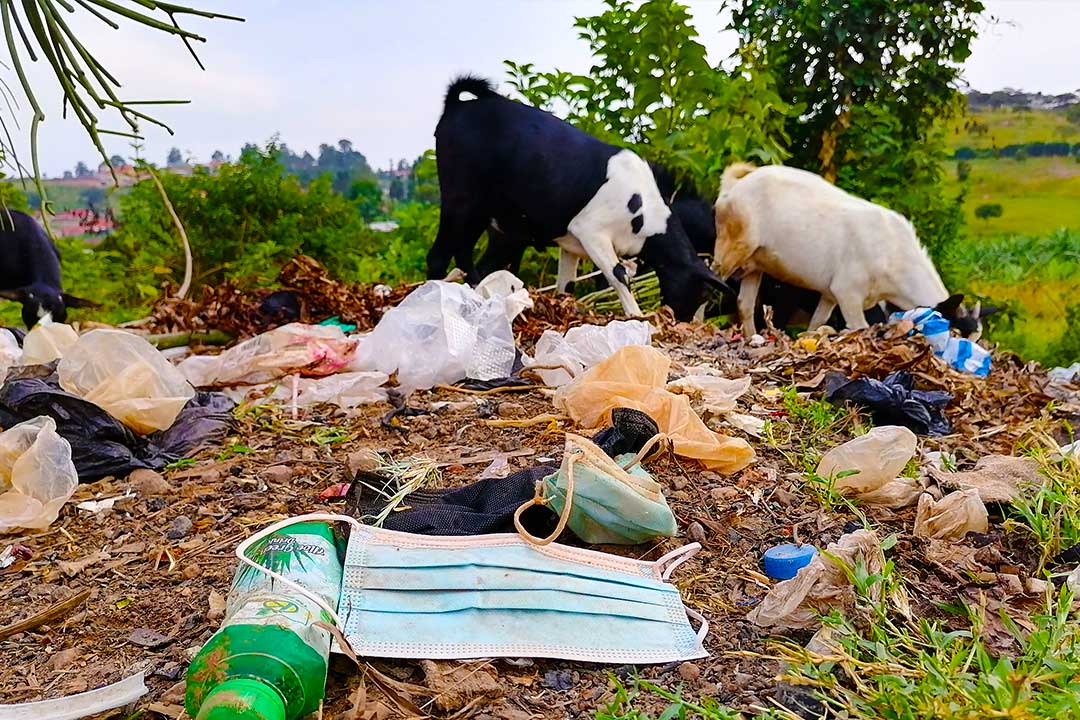 Photo Credit: Kenneth Akampwera/©Last Drop Africa Photo Credit: Kenneth Akampwera/©Last Drop Africa